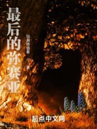 最后的弥赛亚封面