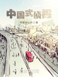 中国式侦探封面