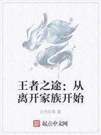 王者之途：从离开家族开始封面