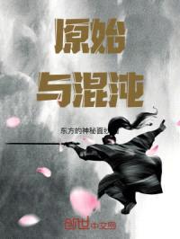 原始与混沌封面