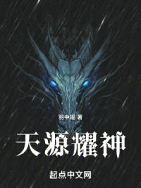 天源耀神封面