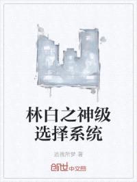 林白之神级选择系统封面