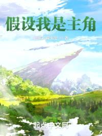 假设我是主角封面