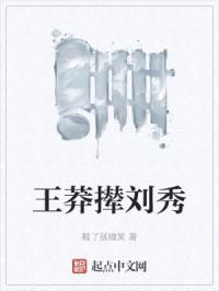 王莽撵刘秀封面