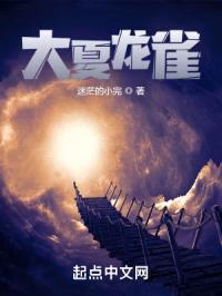 大夏龙雀封面