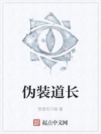 伪装道长封面