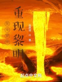 在斗罗中重现黎明封面