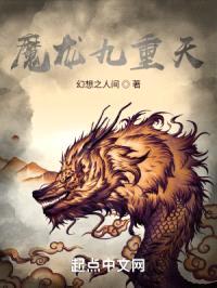 魔龙九重天封面