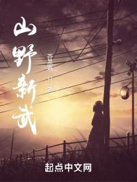 山野新武封面