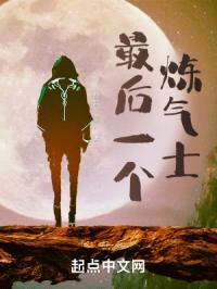 最后一个炼气士封面