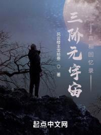 三阶元宇宙真相回忆录封面