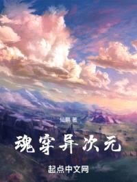 魂穿异次元封面