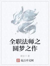 全职法师之圆梦之作封面