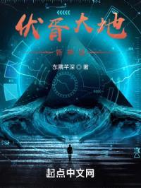 百族争鸣3060封面