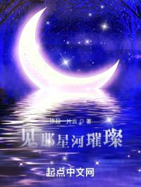 见那星河璀璨封面