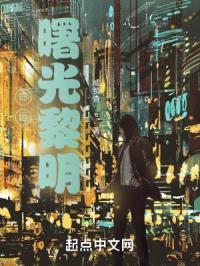 命运：曙光黎明封面