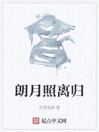 朗月照离归封面