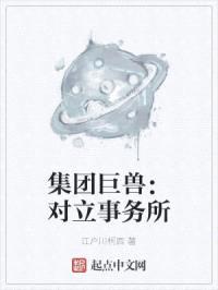 集团巨兽：对立事务所封面
