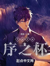 fate序之杯封面