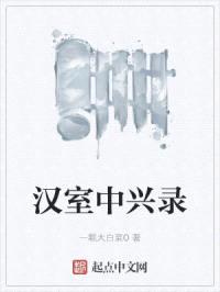 汉室中兴录封面