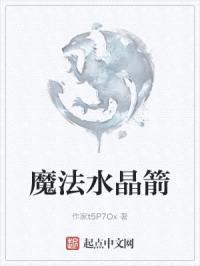 魔法水晶箭封面
