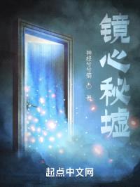 镜心秘墟封面