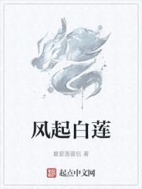 风起白莲封面