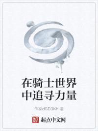 在骑士世界中追寻力量封面