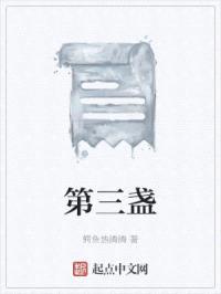 第三盏路灯下的告别封面