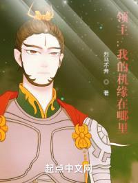 领主：我的机缘在哪里封面