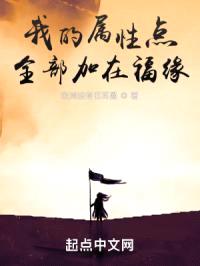 我的属性点全部加在福缘封面