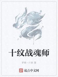 十纹战魂师封面