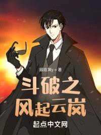 斗破之风起云岚封面
