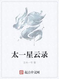 太一星云录封面