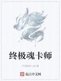 终极魂卡师封面
