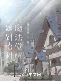 我穿越到哈利波特魔法觉醒封面