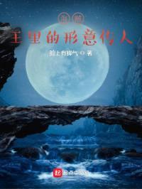 海贼王里的形意传人封面