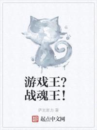游戏王？战魂王！封面