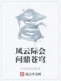 风云际会问鼎苍穹封面