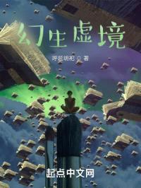 幻生虚境封面