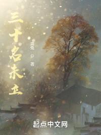 三十名未立封面