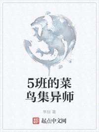 5班的菜鸟集异师封面