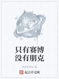 只有赛博没有朋克封面