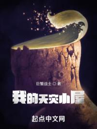 我的天灾小屋封面