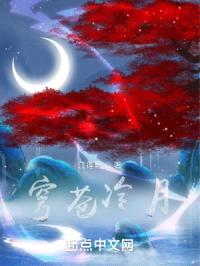穹苍冷月封面