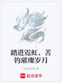 踏进霓虹，苦钓璀璨岁月封面