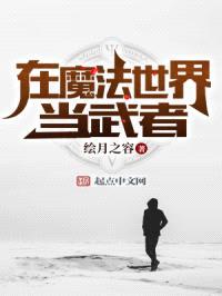 在魔法世界当武者封面