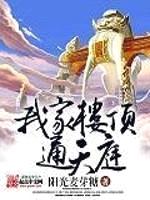 我家楼顶通天庭封面
