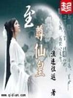 至尊仙皇封面