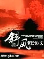 斜风封面